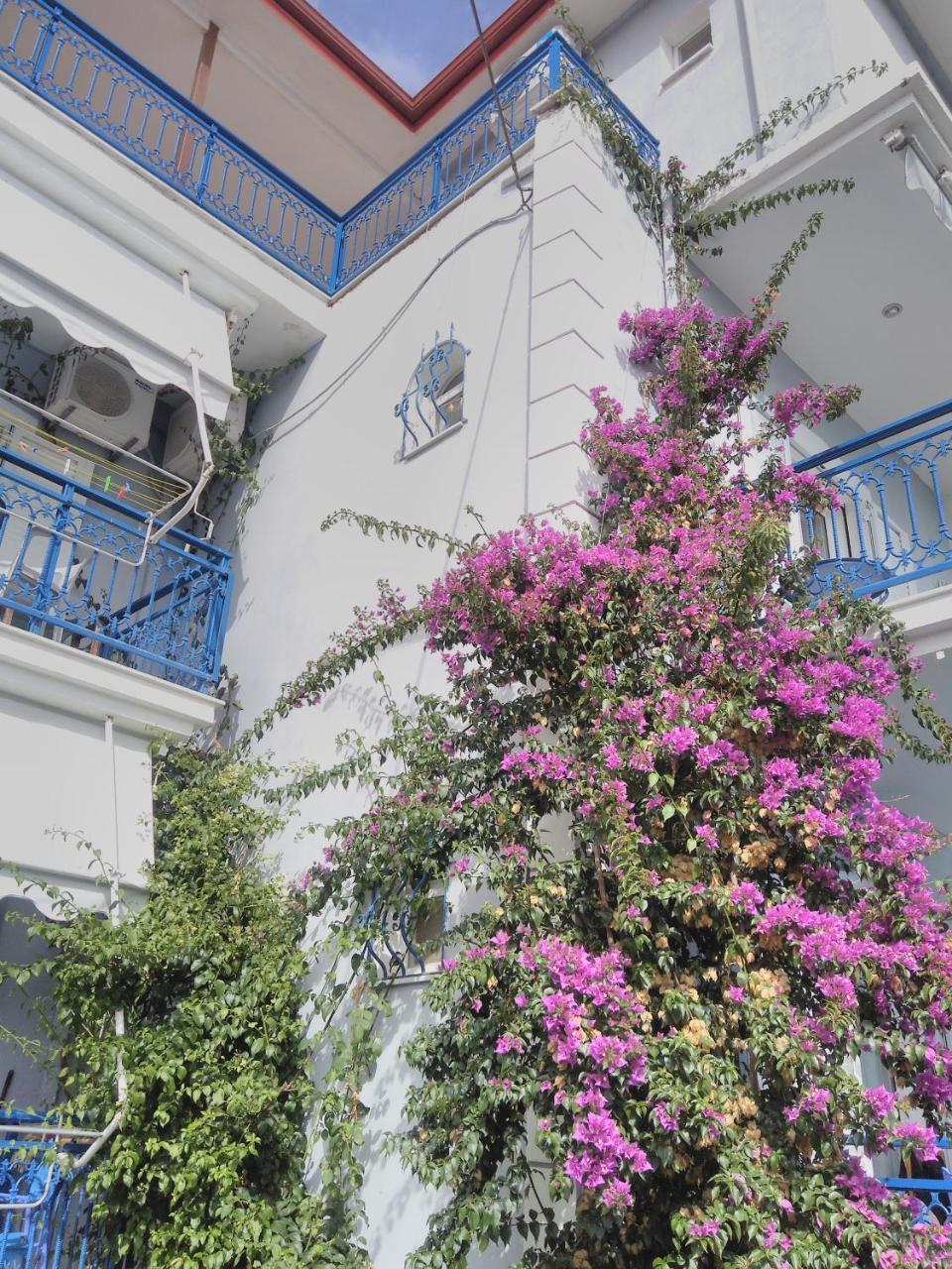 Ionio Gastronomy Suites Ammoudia Exterior foto